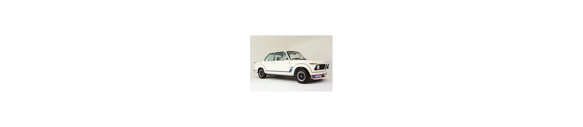 BMW E20