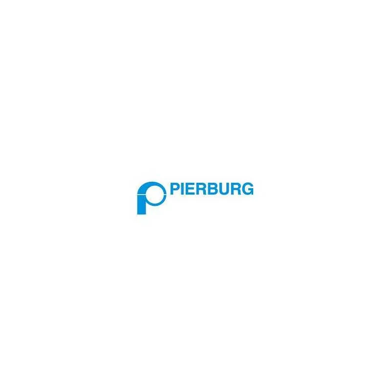 Pierburg 